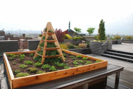 Edible Gardens, Vegetable, Herb Garden NYC | NY Roofscapes