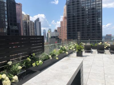 Rooftop gardens nyc