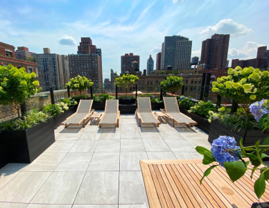 Roof Terrace